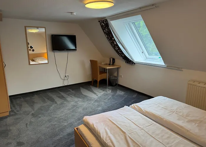 Hotel Everswinkel 宾馆 2*